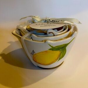 Rae Dunn Fruit Measuring Cups Set.  NEW 2024 release.